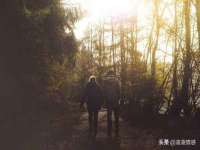 上海苑质新能源科技有限公司