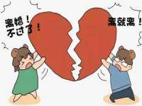 上海苑质新能源科技有限公司