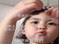 上海苑质新能源科技有限公司