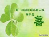 上海苑质新能源科技有限公司
