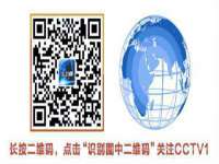 上海苑质新能源科技有限公司