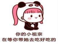 上海苑质新能源科技有限公司