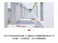 上海苑质新能源科技有限公司