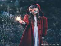 上海苑质新能源科技有限公司