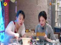 上海苑质新能源科技有限公司