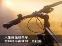 上海苑质新能源科技有限公司
