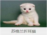 上海苑质新能源科技有限公司