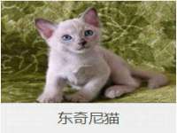 上海苑质新能源科技有限公司