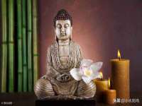 上海苑质新能源科技有限公司