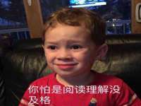 上海苑质新能源科技有限公司