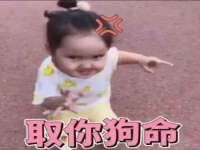 上海苑质新能源科技有限公司