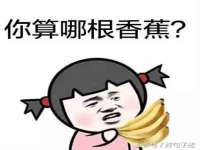 上海苑质新能源科技有限公司