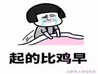 上海苑质新能源科技有限公司