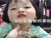 上海苑质新能源科技有限公司