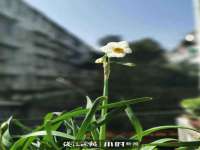 上海苑质新能源科技有限公司
