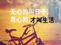 上海苑质新能源科技有限公司