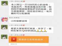 上海苑质新能源科技有限公司