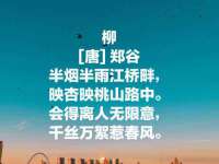 上海苑质新能源科技有限公司