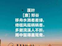 上海苑质新能源科技有限公司