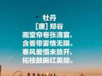 上海苑质新能源科技有限公司