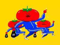 上海苑质新能源科技有限公司