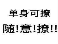 上海苑质新能源科技有限公司