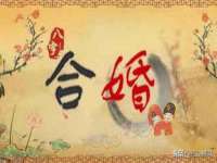 上海苑质新能源科技有限公司