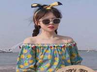 上海苑质新能源科技有限公司