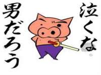 上海苑质新能源科技有限公司