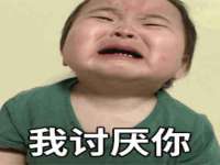 上海苑质新能源科技有限公司