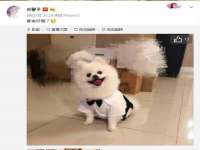 上海苑质新能源科技有限公司