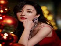 上海苑质新能源科技有限公司