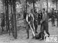 上海苑质新能源科技有限公司