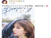 上海苑质新能源科技有限公司
