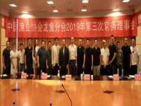上海苑质新能源科技有限公司