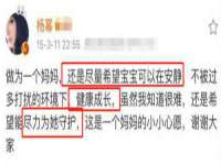 上海苑质新能源科技有限公司