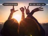上海苑质新能源科技有限公司