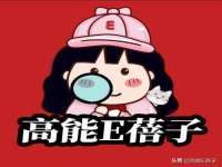 上海苑质新能源科技有限公司