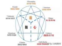 上海苑质新能源科技有限公司