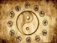 上海苑质新能源科技有限公司
