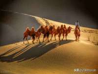 上海苑质新能源科技有限公司