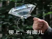 上海苑质新能源科技有限公司