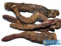 上海苑质新能源科技有限公司