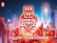 上海苑质新能源科技有限公司