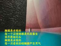 上海苑质新能源科技有限公司