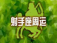 上海苑质新能源科技有限公司