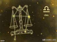 上海苑质新能源科技有限公司