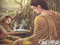 上海苑质新能源科技有限公司